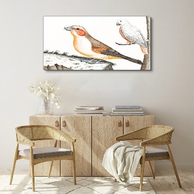 Foto auf leinwand Vogelduett auf einem Ast
