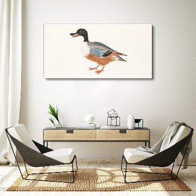 Fotobilder Eine Ente im bunten Mantel