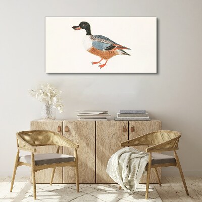Fotobilder Eine Ente im bunten Mantel