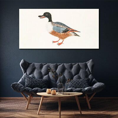 Fotobilder Eine Ente im bunten Mantel