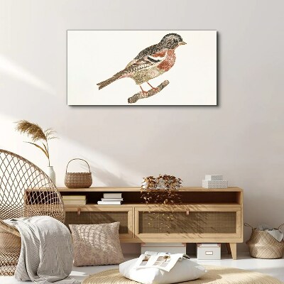 Foto auf leinwand Vogel auf einem Ast