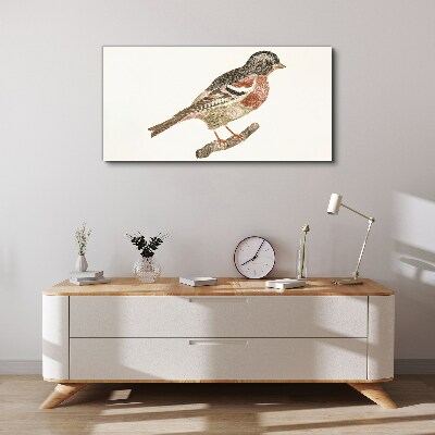 Foto auf leinwand Vogel auf einem Ast