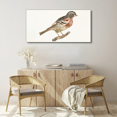 Foto auf leinwand Vogel auf einem Ast