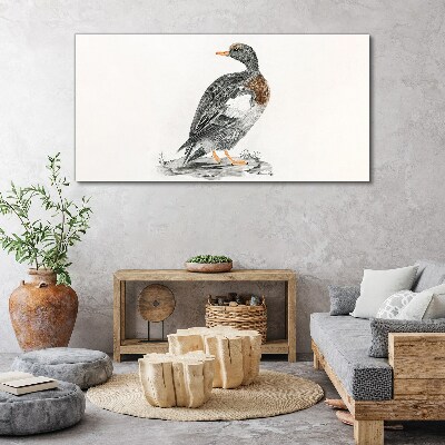 Foto auf leinwand Ente auf weißem Hintergrund