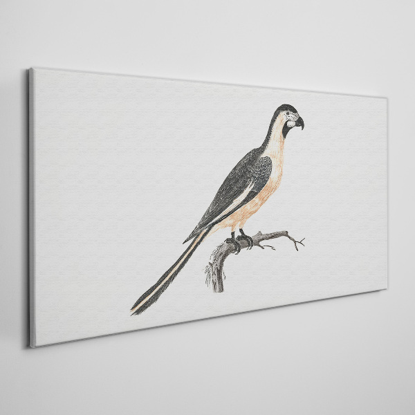 Wandbild Vogel auf einem Ast