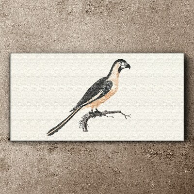 Wandbild Vogel auf einem Ast