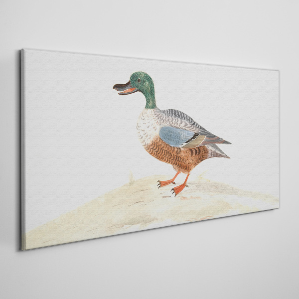 Foto auf leinwand Ente vor einem Hintergrund aus zarten Farben