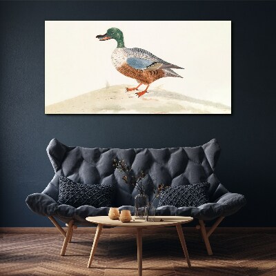 Foto auf leinwand Ente vor einem Hintergrund aus zarten Farben