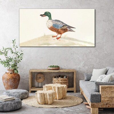 Foto auf leinwand Ente vor einem Hintergrund aus zarten Farben