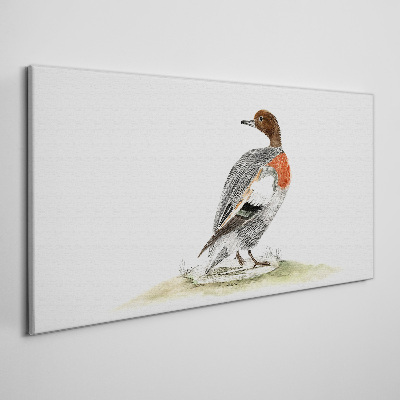 Foto auf leinwand Ente auf einem natürlichen Hintergrund