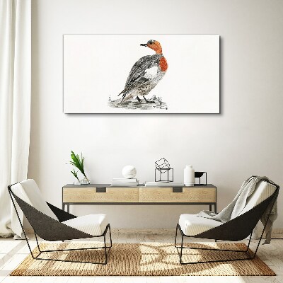 Foto leinwand Rothalsige Ente auf weißem Hintergrund