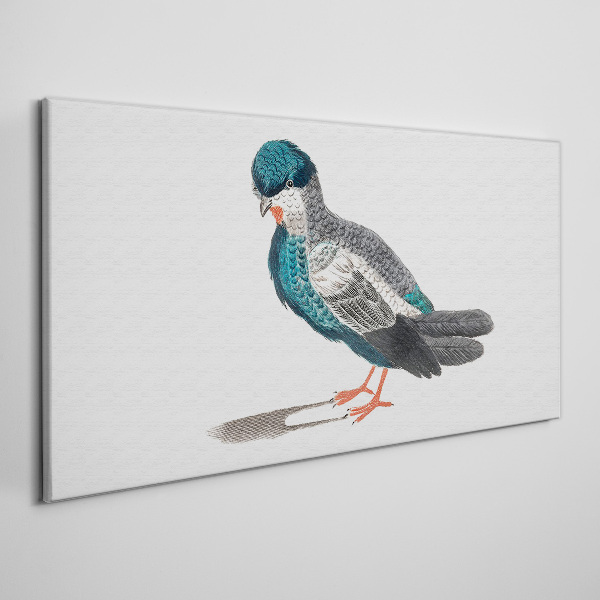 Foto auf leinwand Bunter Vogel auf weißem Hintergrund