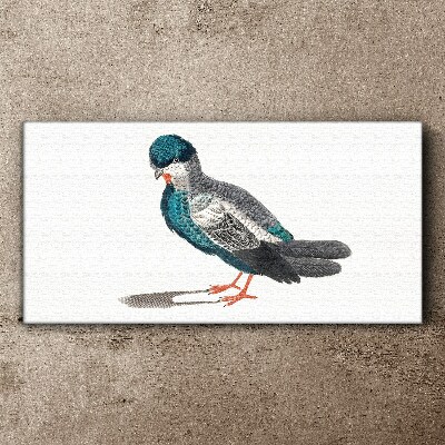 Foto auf leinwand Bunter Vogel auf weißem Hintergrund
