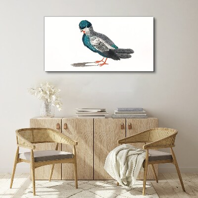 Foto auf leinwand Bunter Vogel auf weißem Hintergrund