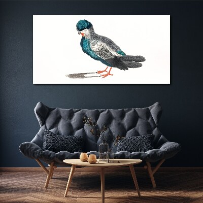 Foto auf leinwand Bunter Vogel auf weißem Hintergrund