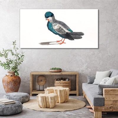 Foto auf leinwand Bunter Vogel auf weißem Hintergrund