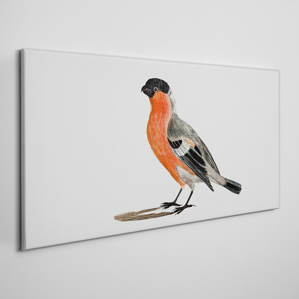 Foto auf leinwand Robin vor einem weißen Hintergrund