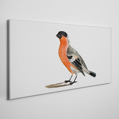 Foto auf leinwand Robin vor einem weißen Hintergrund
