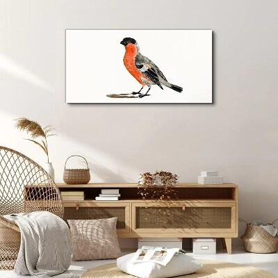 Foto auf leinwand Robin vor einem weißen Hintergrund