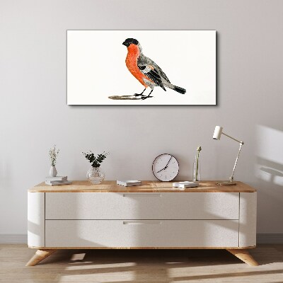 Foto auf leinwand Robin vor einem weißen Hintergrund