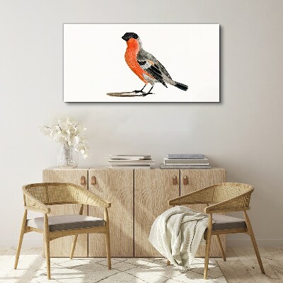 Foto auf leinwand Robin vor einem weißen Hintergrund