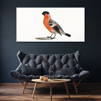Foto auf leinwand Robin vor einem weißen Hintergrund