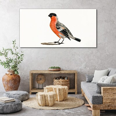 Foto auf leinwand Robin vor einem weißen Hintergrund