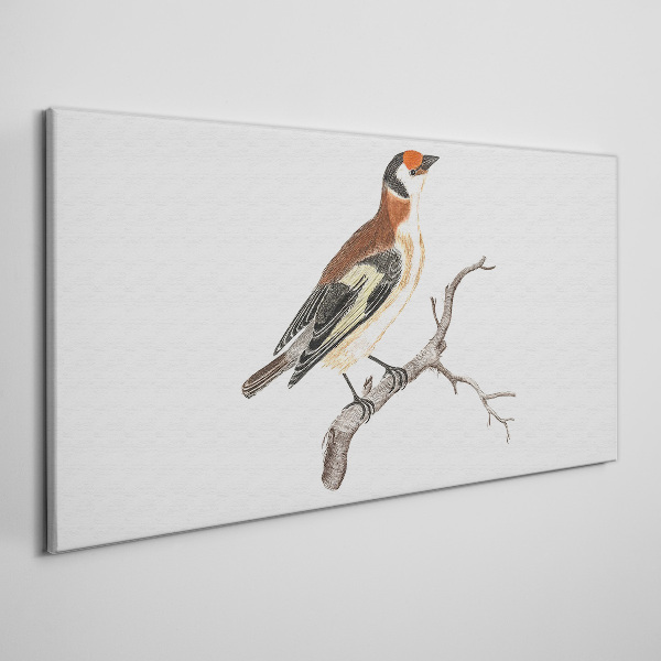 Foto auf leinwand Vogel auf einem Ast