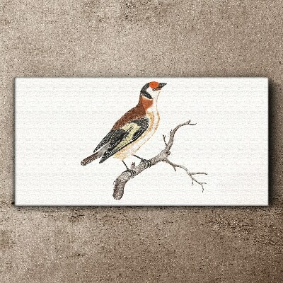 Foto auf leinwand Vogel auf einem Ast