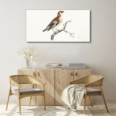 Foto auf leinwand Vogel auf einem Ast