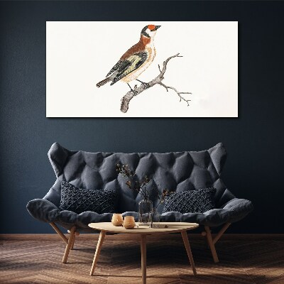 Foto auf leinwand Vogel auf einem Ast