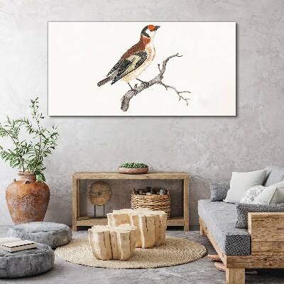 Foto auf leinwand Vogel auf einem Ast
