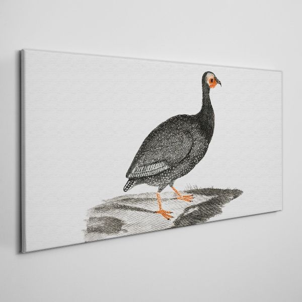 Foto auf leinwand Schwarzer Vogel auf weißem Hintergrund
