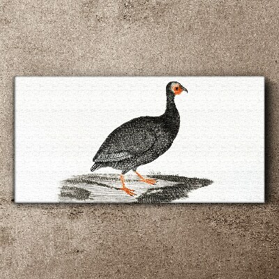 Foto auf leinwand Schwarzer Vogel auf weißem Hintergrund