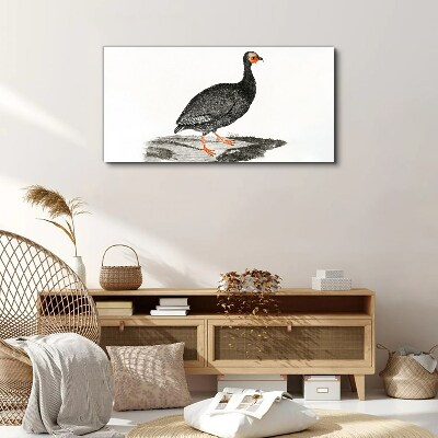 Foto auf leinwand Schwarzer Vogel auf weißem Hintergrund