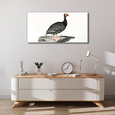 Foto auf leinwand Schwarzer Vogel auf weißem Hintergrund