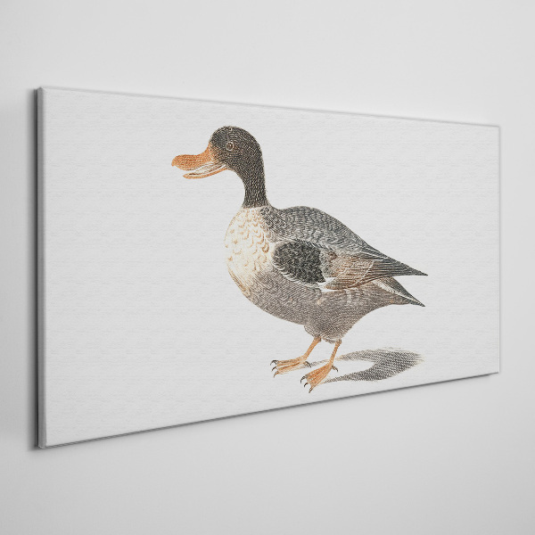 Foto leinwand Ente im naturalistischen Stil