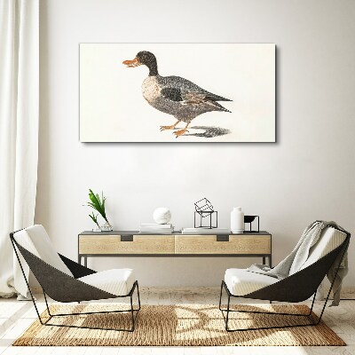 Foto leinwand Ente im naturalistischen Stil