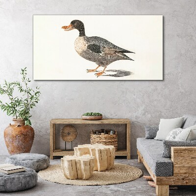 Foto leinwand Ente im naturalistischen Stil