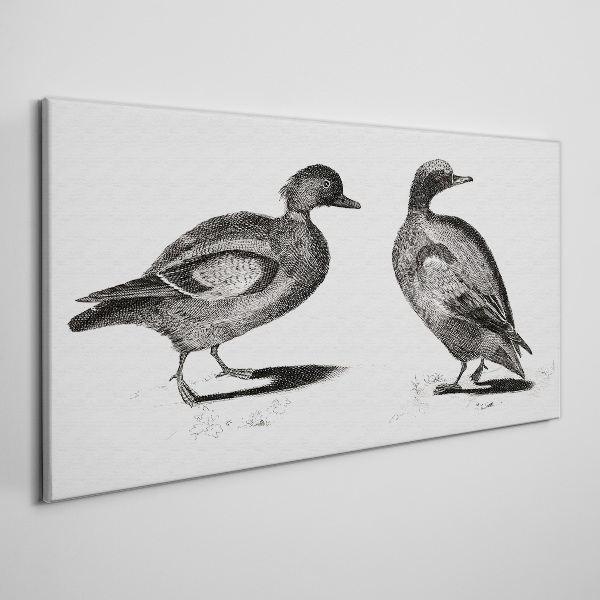 Fotobilder Zwei Enten im monochromen Stil