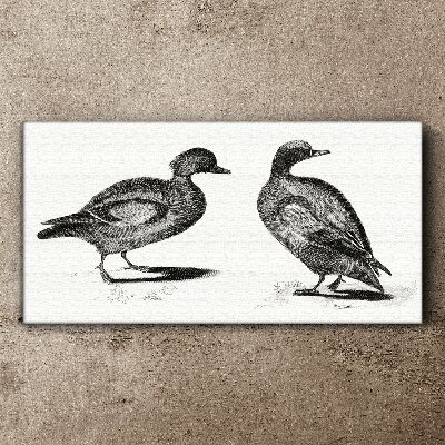 Fotobilder Zwei Enten im monochromen Stil