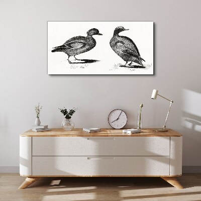 Fotobilder Zwei Enten im monochromen Stil