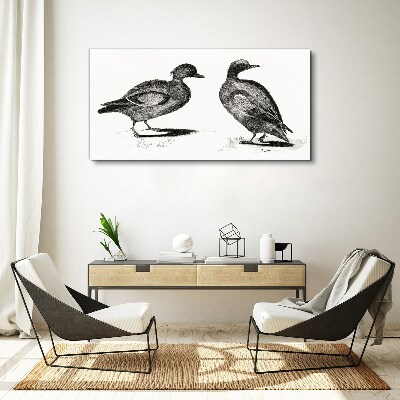 Fotobilder Zwei Enten im monochromen Stil