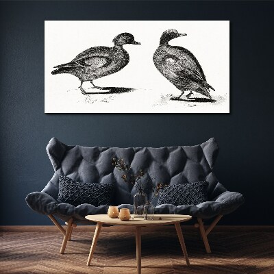Fotobilder Zwei Enten im monochromen Stil