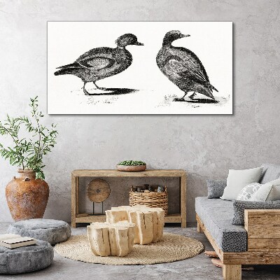 Fotobilder Zwei Enten im monochromen Stil