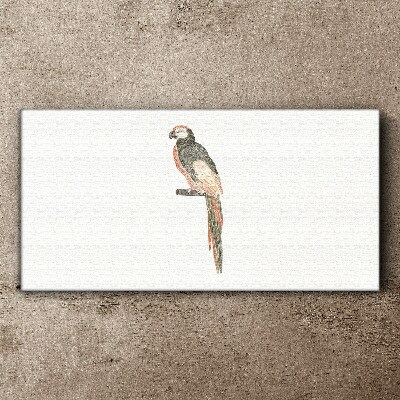 Foto auf leinwand Vogel auf einem Ast