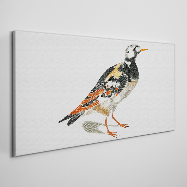 Foto auf leinwand Vogel auf weißem Hintergrund