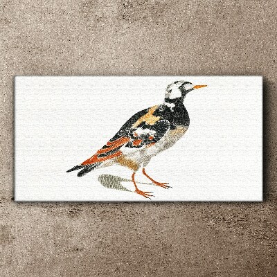 Foto auf leinwand Vogel auf weißem Hintergrund