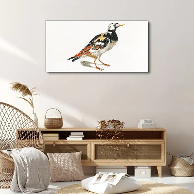 Foto auf leinwand Vogel auf weißem Hintergrund