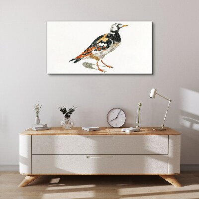 Foto auf leinwand Vogel auf weißem Hintergrund
